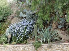 183 D23 BORMES LES MIMOSAS 1_000041